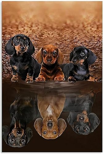 1000 Teile Puzzle Dackeltrupp Reflexion Papierpuzzles für Erwachsene Puzzles DIY Wandkunst Intellektuelles Dekomprimieren50x70cm 1000 Teile Puzzle Dackeltrupp Reflexion Papierpuzzles für Erwachsene Puzzles DIY Wandkunst Intellektuelles Dekomprimieren50x70cm von LNTYW