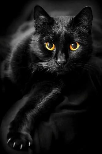 1000 Teile Puzzle für Erwachsene, Papierpuzzle, Schwarze Katze, für Jugendliche und Erwachsene, sehr gutes Lernspiel, 50 x 70 cm 1000 Teile Puzzle für Erwachsene, Papierpuzzle, Schwarze Katze, für Jugendliche und Erwachsene, sehr gutes Lernspiel, 50 x 70 cm von LNTYW