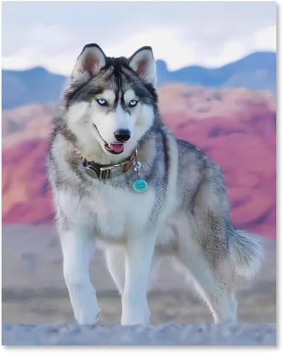1000-teiliges Puzzle für Erwachsene, Puzzle für Erwachsene, Husky-Hund, Kunstwerk, geistiges Lernspielzeug, Geschenke, 26 x 38 cm 1000-teiliges Puzzle für Erwachsene, Puzzle für Erwachsene, Husky-Hund, Kunstwerk, geistiges Lernspielzeug, Geschenke, 26 x 38 cm von LNTYW