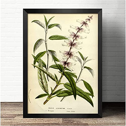 Puzzle 1000 Teile Illustration Von Pflanzen Blumen Poster PapierFür Erwachsene Kinder Spiele Lernspielzeug50x70cm von LNTYW