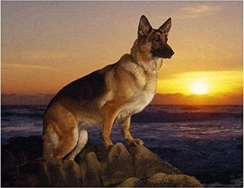 Puzzle 1000 Teile Papierpuzzle für Erwachsene Puzzles Deutscher Schäferhund Brain Challenge Puzzle für Erwachsene Lernspiele für Geburtstag Thanksgiving38x52cm von LNTYW