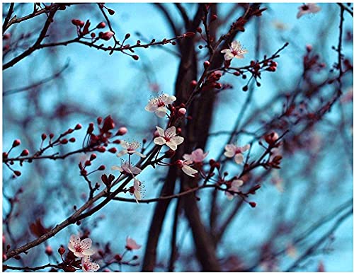 Puzzle 2000 Teile PapierZusammenbau Bild Kirschblüte Frühling Poster Spiele für Erwachsene Lernspielzeug F70x100cm von LNTYW