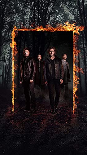 Puzzles 1000 Teile für Erwachsene Supernatural Pädagogisches Intellektuelles Dekompressionsspielzeug Spaß Familienspiel für Kinder Erwachsene50x70cm Puzzles 1000 Teile für Erwachsene Supernatural Pädagogisches Intellektuelles Dekompressionsspielzeug Spaß Familienspiel für Kinder Erwachsene50x70cm von LNTYW