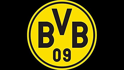 Puzzles für Erwachsene 1000 Teile Fußball FC Puzzles für Kinder Lernspielzeug Intellektuelles Spiel Geschenk Teens DIY Home Entertainment Spielzeug38x52cm von LNTYW