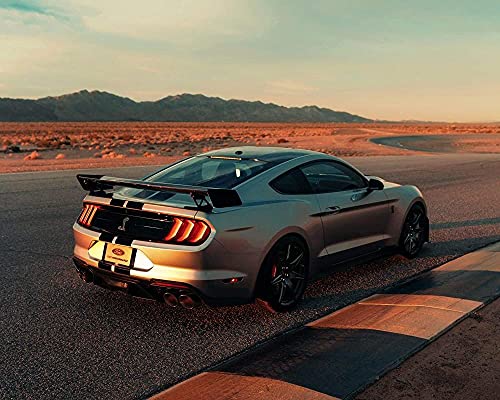 Puzzles für Erwachsene 1000 Teile Mustang Shelby GT Puzzles für Kinder Lernspielzeug Intellektuelles Spiel Geschenk 50x70cm von LNTYW