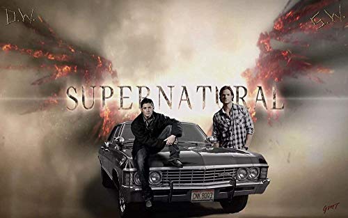 Puzzles für Erwachsene 1000 Teile Supernatural Puzzles für Kinder Lernspielzeug Intellektuelles Spiel Geschenk Teens DIY Home Entertainment50x70cm von LNTYW