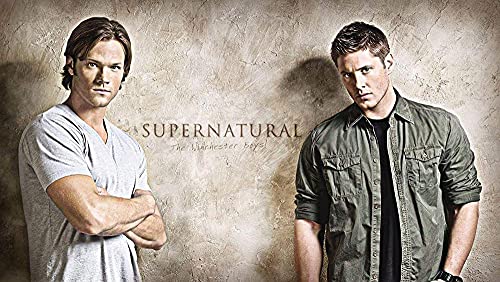 Puzzles für Erwachsene 1000 Teile Supernatural Puzzles für Kinder Lernspielzeug Intellektuelles Spiel Geschenk Teens DIY Home Entertainment50x70cm von LNTYW