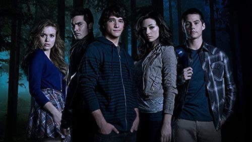 Puzzles für Erwachsene 1000 Teile TV-Show Teen Wolf Puzzles für Kinder Lernspielzeug Intellektuelles Spiel Geschenk 50x70cm von LNTYW
