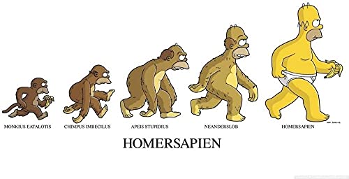 Puzzles für Erwachsene 2000 Teile Die Simpsons Puzzles für Kinder Lernspielzeug Intellektuelles Spiel Geschenk 70x100cm von LNTYW