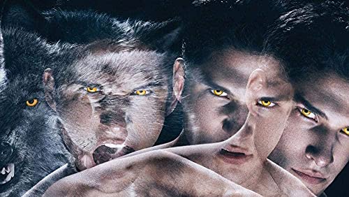 Puzzles für Erwachsene 2000 Teile TV-Show Teen Wolf Puzzles für Kinder Lernspielzeug Intellektuelles Spiel Geschenk 70x100cm von LNTYW