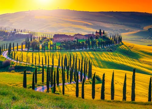 Toskana-Puzzle für Erwachsene, 1000 Teile, Italien, sanfte Hügel, Puzzle 1000 Teile für Erwachsene, 38 x 52 cm von LNTYW