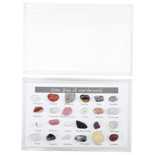 LOLIPPYY 1 Schachtel Teiliges Mineralproben Natürlichem Kristall und Jaspis Unregelmäßige Steine als Dekorative Sammlerstücke für Schreibtisch und Wohnraum Geschenk für Sammler und von LOLIPPYY
