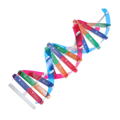 LOLIPPYY DNA Modellbausatz Doppelhelixstruktur Pädagogisches Menschliches Gen Modell Wissenschaftliches Lernspielzeug für Schulunterricht Labor Demonstration LOLIPPYY DNA Modellbausatz Doppelhelixstruktur Pädagogisches Menschliches Gen Modell Wissenschaftliches Lernspielzeug für Schulunterricht Labor Demonstration von LOLIPPYY