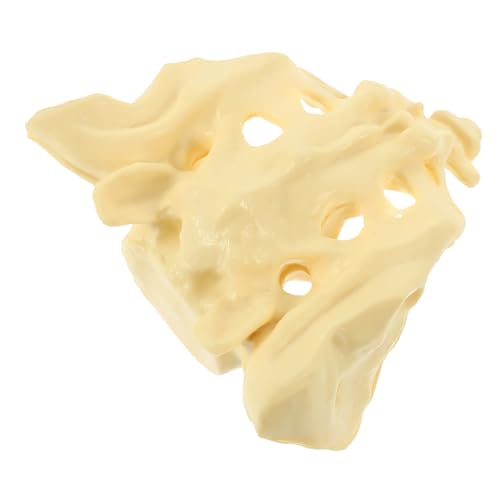 LOLIPPYY Sacrum Anatomisches Modell PVC Leicht Tragbar Kompaktes Menschliches Becken Knochenmodell Für Medizinische Ausbildung Und Anatomieunterricht LOLIPPYY Sacrum Anatomisches Modell PVC Leicht Tragbar Kompaktes Menschliches Becken Knochenmodell Für Medizinische Ausbildung Und Anatomieunterricht von LOLIPPYY