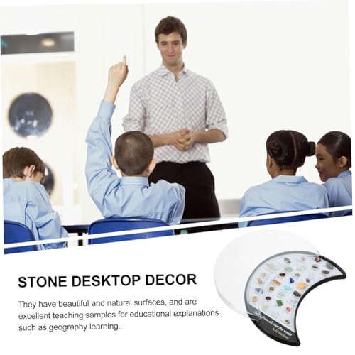 LOORGVEL Mineralsteine Unregelmäßige Natürliche Kristallsteine Polierte Dekosteine Geologie Lernmaterialien Sammlerstücke Geschenk LOORGVEL Mineralsteine Unregelmäßige Natürliche Kristallsteine Polierte Dekosteine Geologie Lernmaterialien Sammlerstücke Geschenk von LOORGVEL