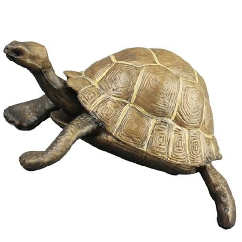 LOORGVEL Realistisches Kunststoff Schildkrötenmodell als Deko und Lernspielzeug Detailgetreue Tierfigur für Kognition und Kreativität Geeignet als Schreibtisch Deko LOORGVEL Realistisches Kunststoff Schildkrötenmodell als Deko und Lernspielzeug Detailgetreue Tierfigur für Kognition und Kreativität Geeignet als Schreibtisch Deko von LOORGVEL