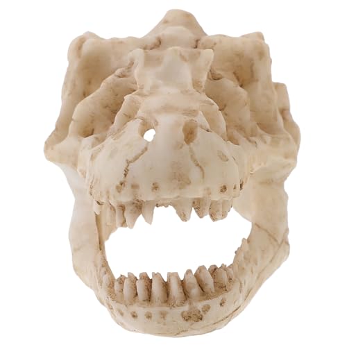 LOORGVEL Resin Dinosaur Skull Modell Detailgetreues Langlebiges Deko Accessoire für Zuhause und Büro Realistische Nachbildung aus Robustem für Sammler und Terrariengestaltung von LOORGVEL