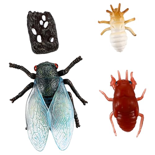 LOPUNER 1 Satz Cicada Lebenszyklus Figuren Pädagogisches aus Simulation Insekten Figuren für Lernzwecke Goodie Bag Füller Realistische Farben für Langanhaltenden Spaß von LOPUNER