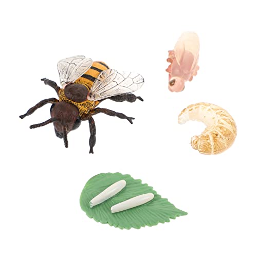 LOPUNER 1Satz Simulation Honigbiene Lernspielzeug Insektenwachstumszyklus Modell für Kognitive Entwicklung Frühe Bildungshilfen für Naturwissenschaften Teiliges LOPUNER 1Satz Simulation Honigbiene Lernspielzeug Insektenwachstumszyklus Modell für Kognitive Entwicklung Frühe Bildungshilfen für Naturwissenschaften Teiliges von LOPUNER