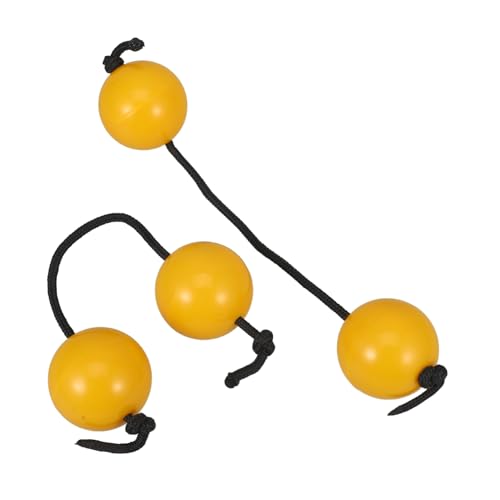 LOPUNER 2 Stück Sandball Shaker Instrumente Farbige Rhythmus Shaker für Musik und Percussion für Unterricht und Partys aus Robustem Material mit von LOPUNER