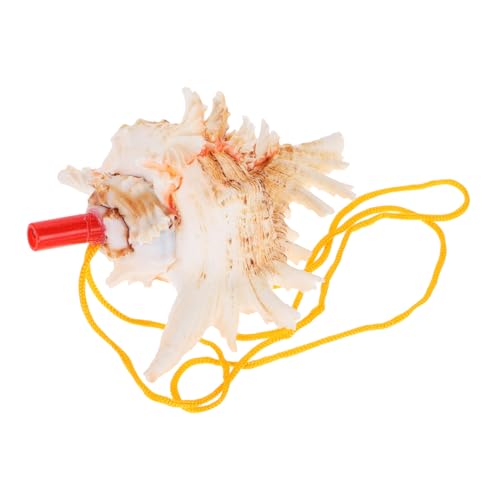 LOPUNER Große Hornpfeife aus Meeresschnecke Lauter Elegantes Design für Outdoor Aktivitäten Partys Stranddekoration und Kreative Spielzeuge von LOPUNER