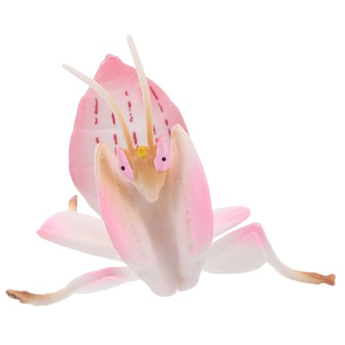LOPUNER Mantis Figurine Kunststoff Insektenmodell für Dekoration Lernspielzeug für Zuhause Schule Kindergarten Vielseitig Einsetzbar Langlebig Lehrreich LOPUNER Mantis Figurine Kunststoff Insektenmodell für Dekoration Lernspielzeug für Zuhause Schule Kindergarten Vielseitig Einsetzbar Langlebig Lehrreich von LOPUNER