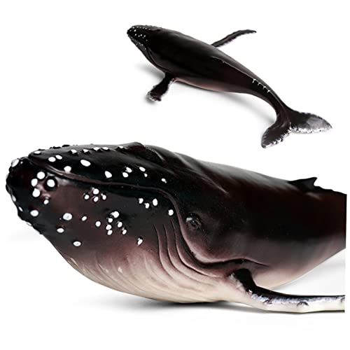 LOPUNER Realistisches Humpback Whale Modell aus Hochwertigem Kunststoff Tierfigur als Kinderspielzeug und Dekorative Meereswelt Deko für Zuhause Büro und Kreative Bastelideen von LOPUNER