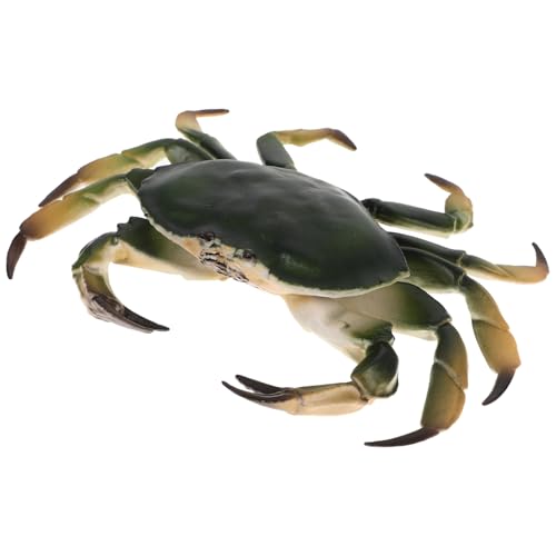 LOPUNER Realistisches Krabbenmodell Simulation Tierfigur Aquarium Deko Pädagogisches Lernspielzeug für Ab Jahren Lebensecht Gestaltetes Meerestier Modell LOPUNER Realistisches Krabbenmodell Simulation Tierfigur Aquarium Deko Pädagogisches Lernspielzeug für Ab Jahren Lebensecht Gestaltetes Meerestier Modell von LOPUNER