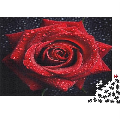 Hölzern Puzzle 2023, Adventskalender Puzzle 300 Hölzern Teile Weihnachtskalender 2023 Männer Frauen Geschenke Jigsaw Puzzle Adventskalender Geschenke - 3D Red Rose von LOUSON