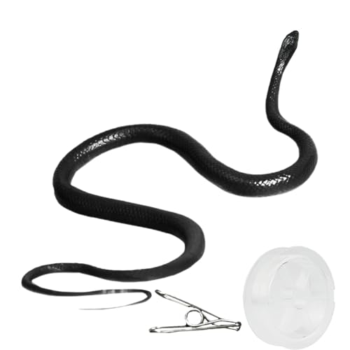 Schlangen-Witz mit Schnur und Clip | Clip auf der Schlange | Golfschlange mit Schnur und Clip, falsche Gummischlange auf einer Garnfüllung, die die Menschen verfolgt Schlangen-Witz mit Schnur und Clip | Clip auf der Schlange | Golfschlange mit Schnur und Clip, falsche Gummischlange auf einer Garnfüllung, die die Menschen verfolgt von LOVEMETOO