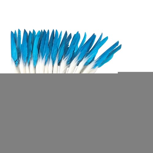 LOVIVER Künstlicher Federkopfschmuck, Dekorative Kopfbedeckung Im Indischen Stil für Party, Karneval, Blau 55cmx45cm von LOVIVER
