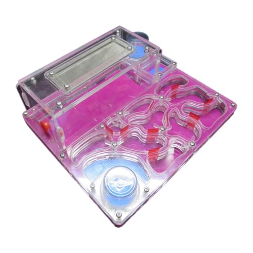 LOVIVER Nest Farm, Factory Rechteckiges DIY Modernes Design Transparentes Vivarium Lernspielzeug für Stammlernspielzeug, Rot LOVIVER Nest Farm, Factory Rechteckiges DIY Modernes Design Transparentes Vivarium Lernspielzeug für Stammlernspielzeug, Rot von LOVIVER