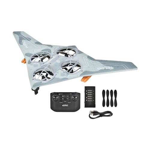 LOVIVER RC Flugzeug Jet Fighter Spielzeug, leichtes, stabiles Schaumstoff-RC-Flugzeug, RC-Segelflugzeug für Jungen, Mädchen, Frauen, Anfänger, Studenten, von LOVIVER