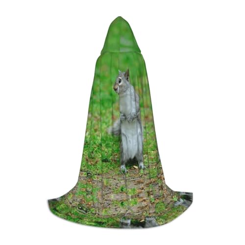 LPWTYCBV Kapuzenumhang mit Eichhörnchen-Druck, für Teenager, bequemer und langlebiger Kostüm-Umhang für Halloween LPWTYCBV Kapuzenumhang mit Eichhörnchen-Druck, für Teenager, bequemer und langlebiger Kostüm-Umhang für Halloween von LPWTYCBV