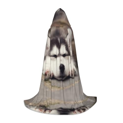 LPWTYCBV Kapuzenumhang mit Husky-Hunde-Aufdruck, für Teenager, bequemer und langlebiger Kostüm-Umhang für Halloween LPWTYCBV Kapuzenumhang mit Husky-Hunde-Aufdruck, für Teenager, bequemer und langlebiger Kostüm-Umhang für Halloween von LPWTYCBV