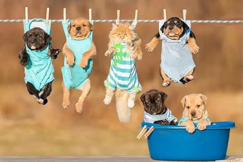 1000 Teile Fünf Hunde und eine Katze Papierpuzzle Lernspielzeug für Erwachsene 26 x 38 cm 1000 Teile Fünf Hunde und eine Katze Papierpuzzle Lernspielzeug für Erwachsene 26 x 38 cm von LQKADBCXT