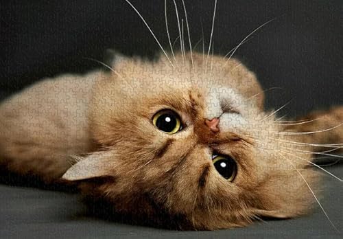 1000 Teile süßes Katzen-Papierpuzzle, Lernspielzeug für Erwachsene, 50 x 70 cm von LQKADBCXT