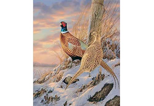 1000-teiliges Fasanen-Puzzle für Erwachsene, geeignet als Wandkunst, Heimdekoration, 50 x 70 cm 1000-teiliges Fasanen-Puzzle für Erwachsene, geeignet als Wandkunst, Heimdekoration, 50 x 70 cm von LQKADBCXT