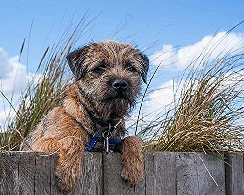 1000-teiliges Papierpuzzle mit Rand, Kunsthandwerk, geeignet für die Wanddekoration zu Hause, 50 x 70 cm 1000-teiliges Papierpuzzle mit Rand, Kunsthandwerk, geeignet für die Wanddekoration zu Hause, 50 x 70 cm von LQKADBCXT