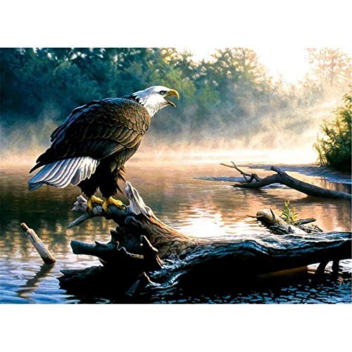 1000-teiliges Puzzle „Adler auf dem Boden“ für Kinder und Erwachsene, 50 x 70 cm von LQKADBCXT