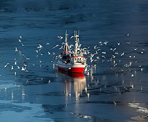 1000-teiliges Puzzle für Erwachsene, Beiyuan, Fischerboot, Möwe, Basteln, Heimwanddekoration, 50 x 70 cm von LQKADBCXT