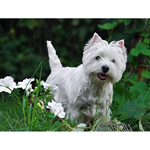 1000-teiliges Puzzle für Erwachsene, West Highland White Terrier, Kunst, Zuhause, Wohnzimmer, Schlafzimmer, Büro, Dekoration, Geschenk, 50 x 70 cm von LQKADBCXT