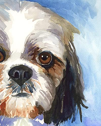 1000-teiliges Puzzle für Erwachsene, Xishi Xishi, geeignet als Kindergeschenk, 50 x 70 cm 1000-teiliges Puzzle für Erwachsene, Xishi Xishi, geeignet als Kindergeschenk, 50 x 70 cm von LQKADBCXT