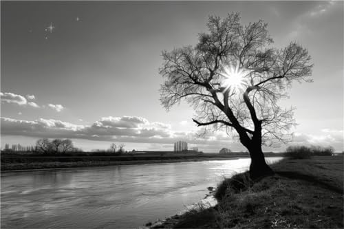 1000-teiliges Puzzle für Erwachsene, schwarz-weiß, digitaler Baum, Basteln, Schlafzimmer, Wohnzimmer, Wanddekoration, Geschenk, 50 x 70 cm 1000-teiliges Puzzle für Erwachsene, schwarz-weiß, digitaler Baum, Basteln, Schlafzimmer, Wohnzimmer, Wanddekoration, Geschenk, 50 x 70 cm von LQKADBCXT