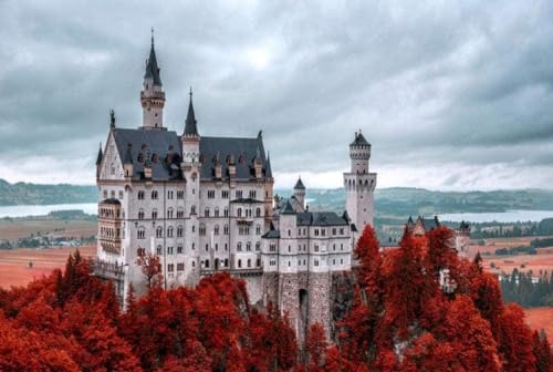 2000 Teile Puzzle für Erwachsene Schloss Neuschwanstein Papierpuzzle Puzzle für Erwachsene Spiel Spielzeug Geschenk 70X100CM 2000 Teile Puzzle für Erwachsene Schloss Neuschwanstein Papierpuzzle Puzzle für Erwachsene Spiel Spielzeug Geschenk 70X100CM von LQKADBCXT