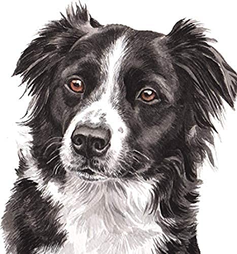 2000-teiliges Papierpuzzle Border Collie, Malerei, Kunsthandwerk, geeignet für Heimdekoration und Geschenke, 70 x 100 cm von LQKADBCXT