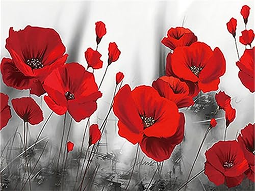 2000-teiliges Papierpuzzle Mohnblume, geeignet für Wohnzimmer, Schlafzimmer, Heimdekoration, geeignet für Kinder, Weihnachten, volle runde Perlen, 70 x 100 cm 2000-teiliges Papierpuzzle Mohnblume, geeignet für Wohnzimmer, Schlafzimmer, Heimdekoration, geeignet für Kinder, Weihnachten, volle runde Perlen, 70 x 100 cm von LQKADBCXT