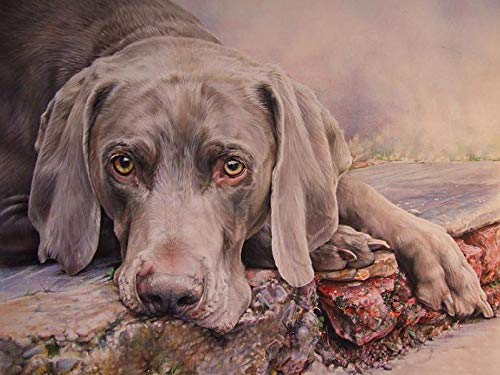 2000-teiliges Papierpuzzle Weimaraner, Heimdekoration, 70 x 100 cm von LQKADBCXT