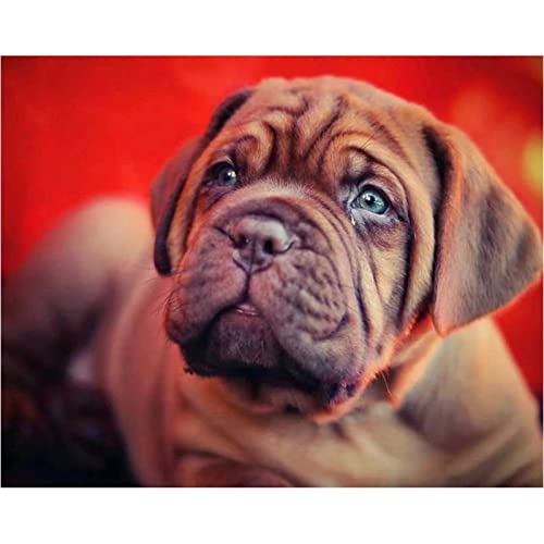 2000-teiliges Puzzle für Erwachsene, französischer Bordeaux-Hund, Malerei, Kunsthandwerk, Heimwanddekoration, 70 x 100 cm 2000-teiliges Puzzle für Erwachsene, französischer Bordeaux-Hund, Malerei, Kunsthandwerk, Heimwanddekoration, 70 x 100 cm von LQKADBCXT