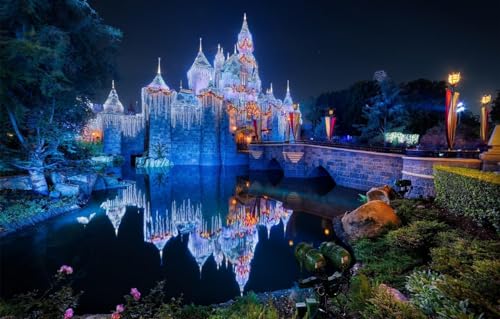 2000-teiliges Puzzle für Erwachsene | Pond Castle Puzzles Dornröschenschloss Kalifornien 70X100CM 2000-teiliges Puzzle für Erwachsene | Pond Castle Puzzles Dornröschenschloss Kalifornien 70X100CM von LQKADBCXT